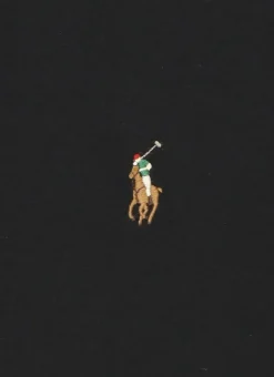 Polo con Pony