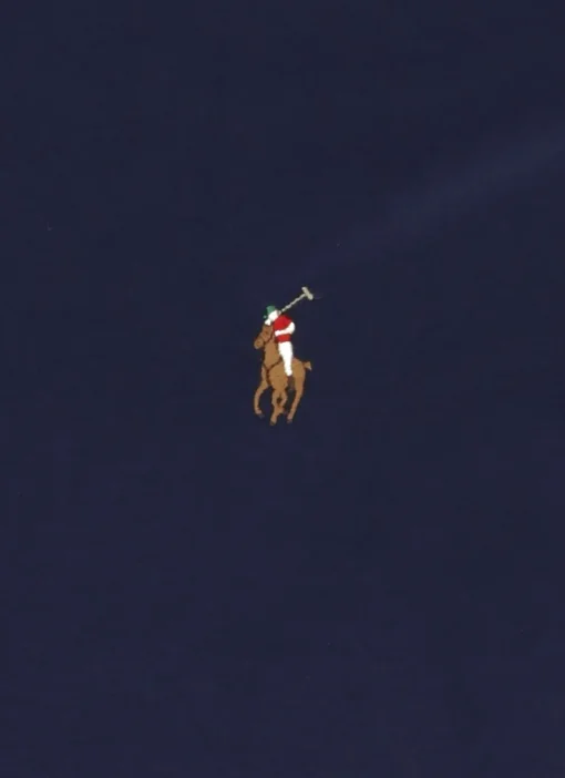 Polo con Pony