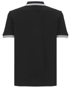 Polo Paddy