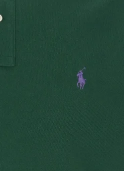 Polo Pony