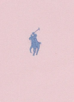 Polo Pony