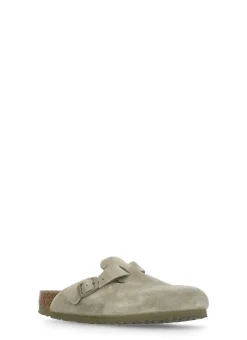 Sabot Boston BS