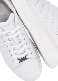 Sneakers Perry 3162
